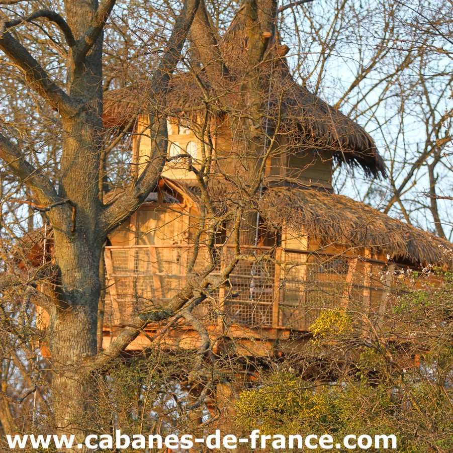 Cabane dans les arbres avec toit en chaume, perchée au milieu des branches.