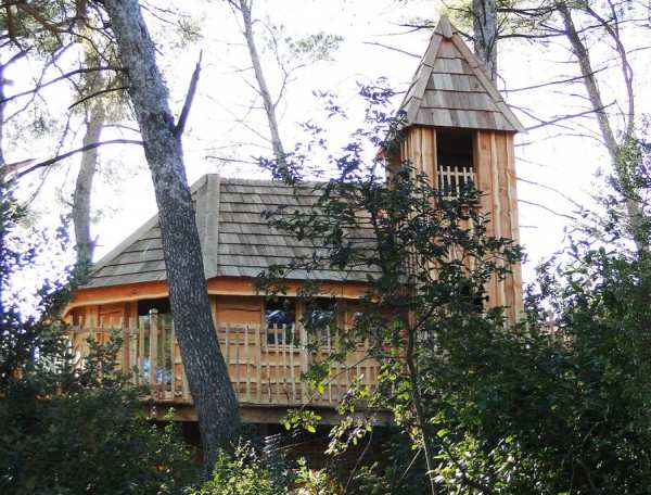 Cabane dans les arbres en bois, perchée parmi les pins, avec un toit en pointe.