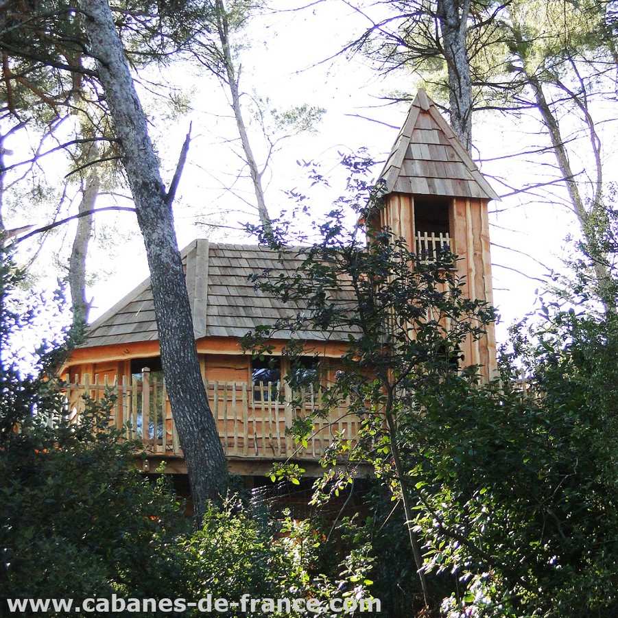 Cabane dans les arbres en bois, perchée parmi les pins, avec un toit en pointe.