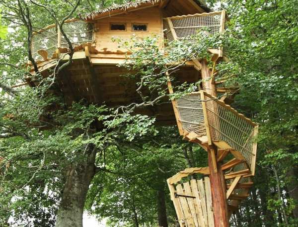 Cabane dans les arbres, perchée au milieu dune forêt verdoyante.