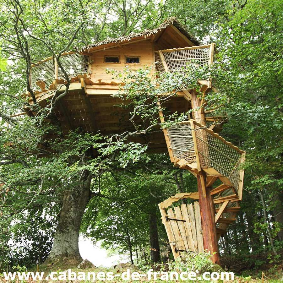 Cabane dans les arbres, perchée au milieu dune forêt verdoyante.
