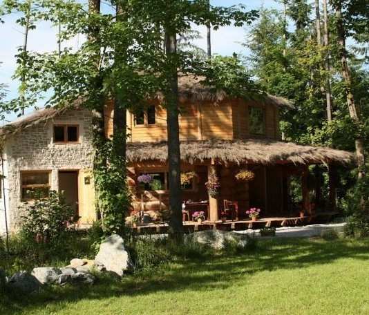 Charmante cabane en bois avec toit de chaume, entourée de verdure luxuriante.