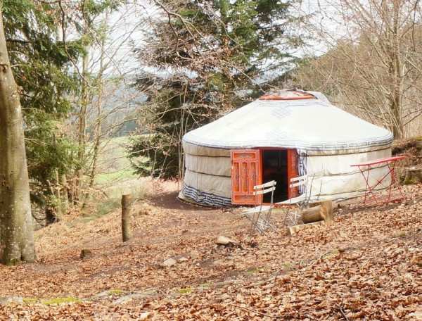 Yourte en pleine nature, entourée de feuilles mortes et darbres verdoyants.