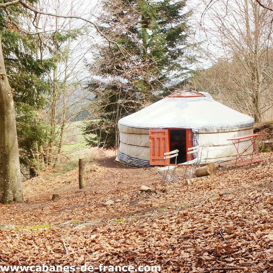 Yourte en pleine nature, entourée de feuilles mortes et darbres verdoyants.