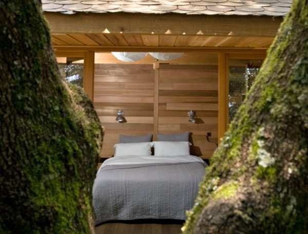 Cabane en bois avec lit douillet, entourée de grands arbres verdoyants.