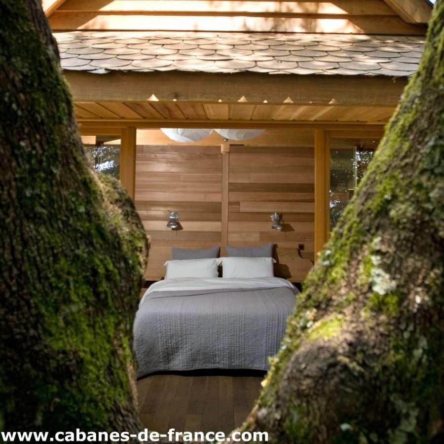 Cabane en bois avec lit douillet, entourée de grands arbres verdoyants.