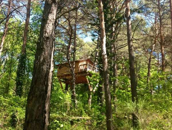 Cabane perchée dans les arbres, entourée de verdure et de pins majestueux.