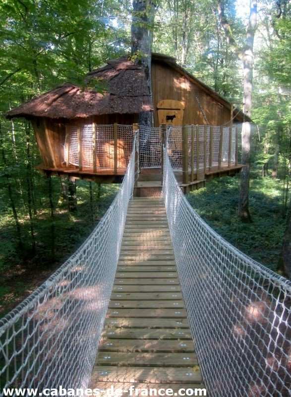 Cabane perchée dans les arbres, accessible par un pont suspendu en bois.