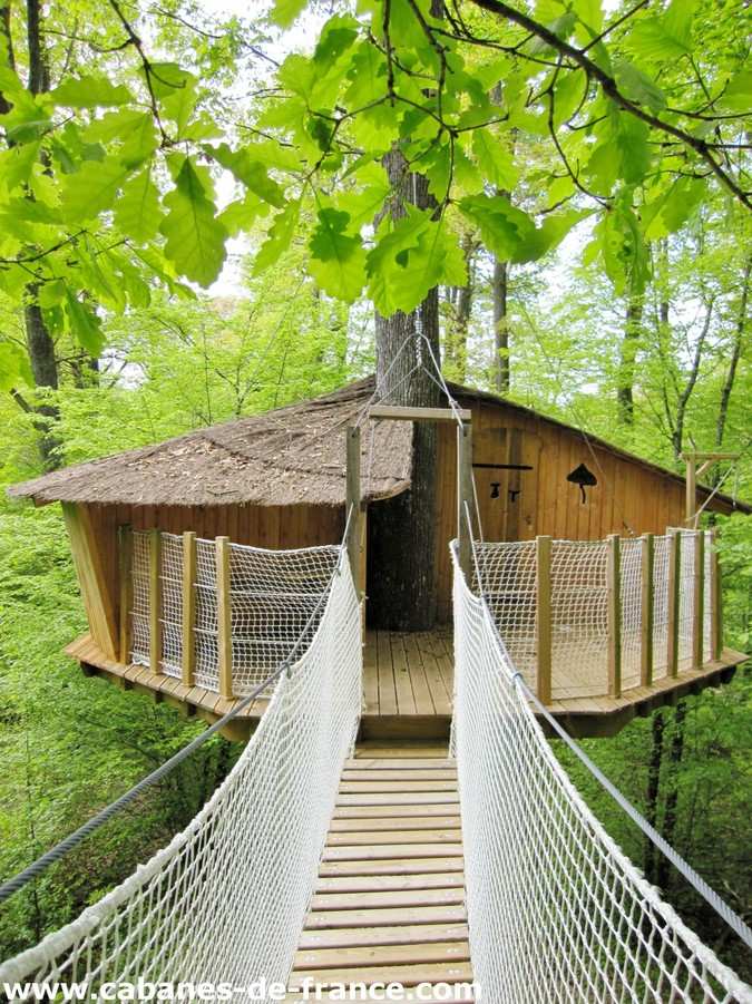 Cabane perchée dans les arbres, accessible par un pont suspendu, au cœur de la nature.