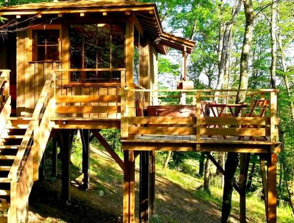 Cabane en bois perchée dans les arbres, avec terrasse ensoleillée et vue sur la nature.