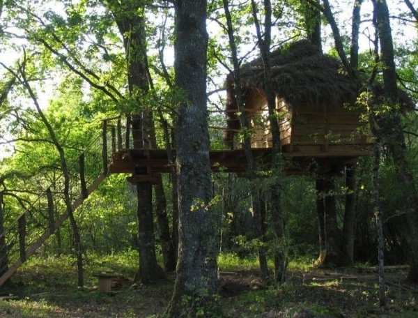 Cabane perchée dans les arbres, entourée de verdure luxuriante et paisible.