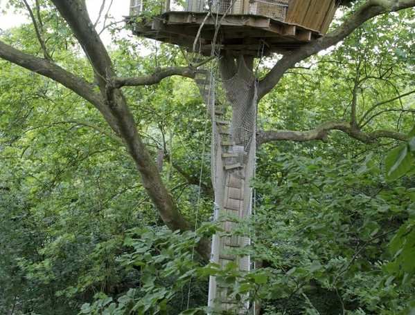 Cabane dans les arbres, perchée au milieu dune verdure luxuriante.
