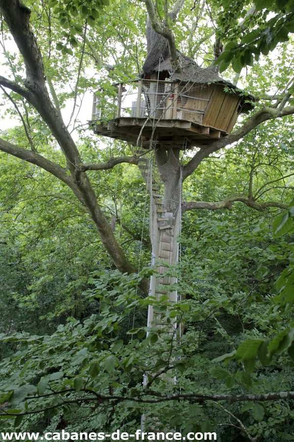 Cabane dans les arbres, perchée au milieu dune verdure luxuriante.