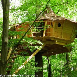 Cabane dans les arbres en bois, perchée au milieu dune forêt verdoyante.