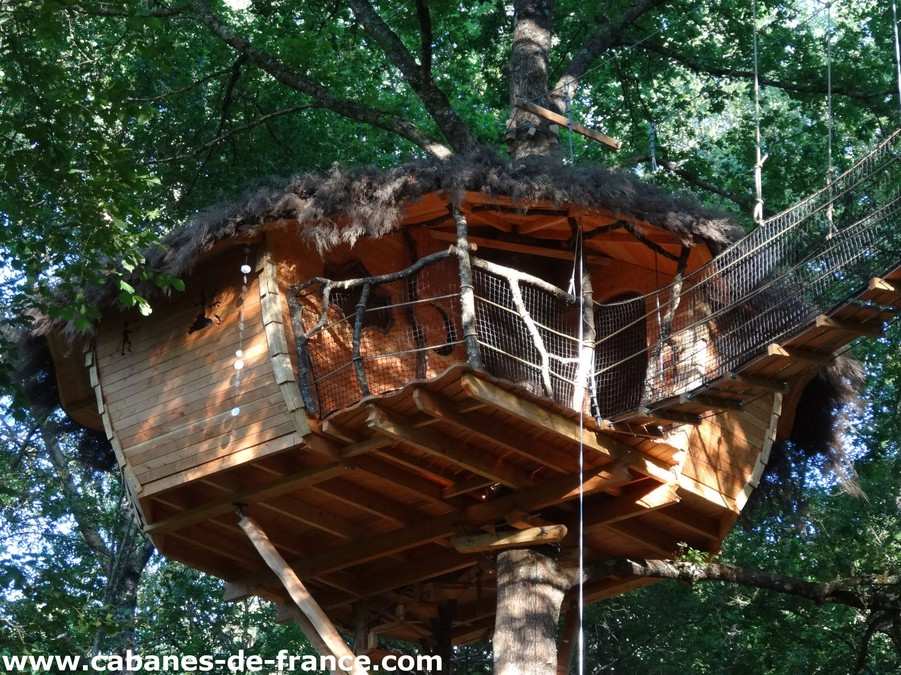1900 Cabane perchée dans un arbre, avec un toit en chaume et une passerelle suspendue.