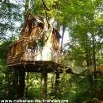 Eco Source Arboricole