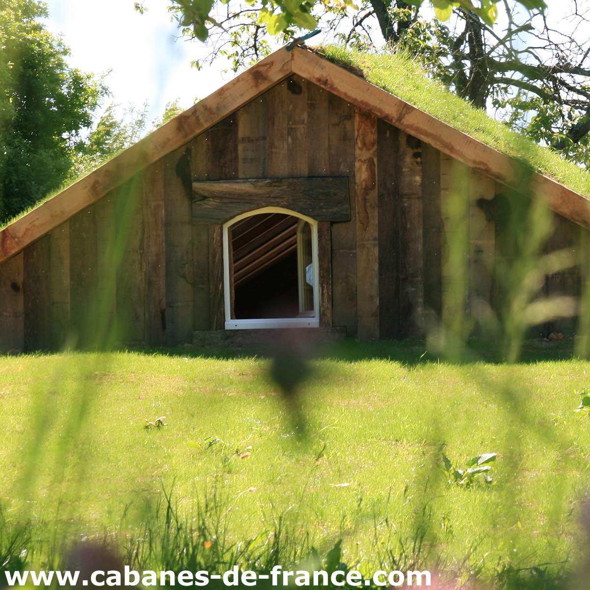 Cabane en bois avec toit végétal, nichée dans un écrin de verdure.