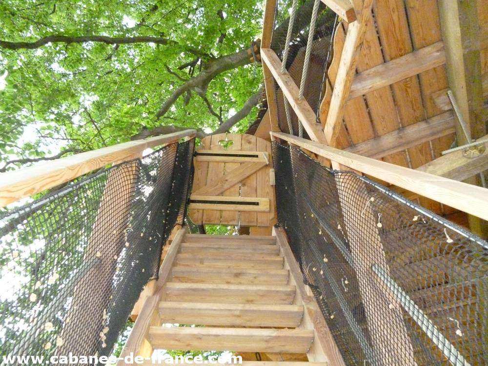 2056 Cabane dans les arbres en Hauts-de-France, accès par un escalier en bois.