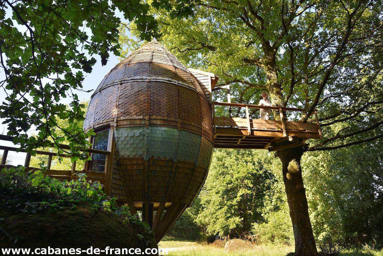 2160 Cabane en bois perchée dans un arbre, avec un design ovoïde et des tuiles colorées.