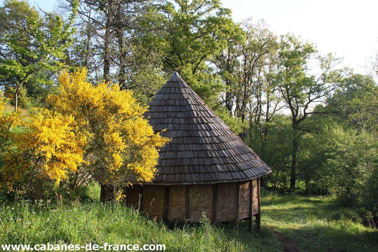 2197 Cabane en bois au cœur de la nature, entourée de fleurs jaunes éclatantes.