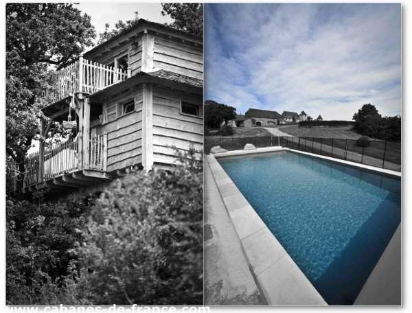 Cabane en bois perchée avec terrasse et piscine extérieure entourée de verdure.