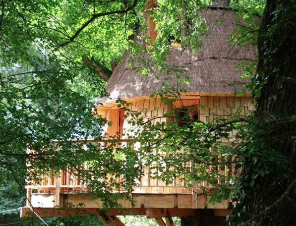 Cabane perchée dans les arbres, entourée de verdure luxuriante et de bois naturel.