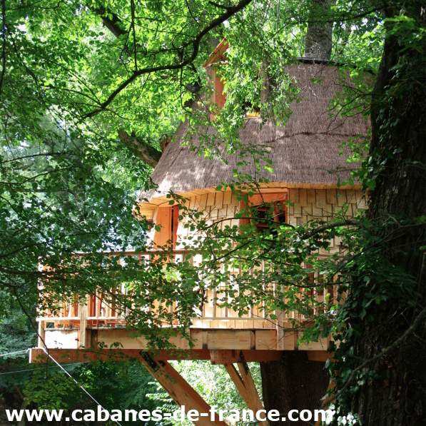 Cabane perchée dans les arbres, entourée de verdure luxuriante et de bois naturel.