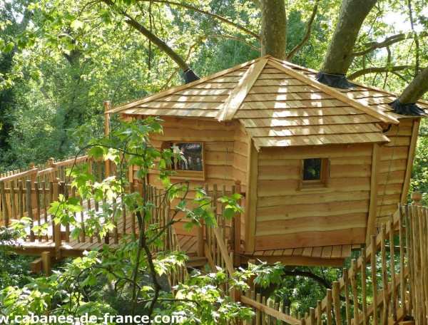 Cabane dans les arbres en bois, perchée au milieu dune verdure luxuriante.