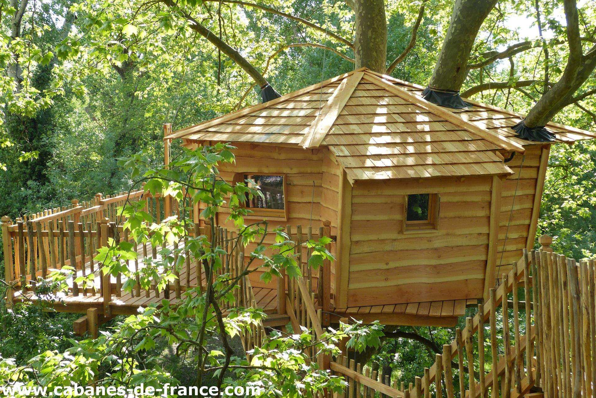 Cabane dans les arbres en bois, perchée au milieu dune verdure luxuriante.
