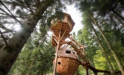 Cabane La Tribu Perchée – Bol d’air