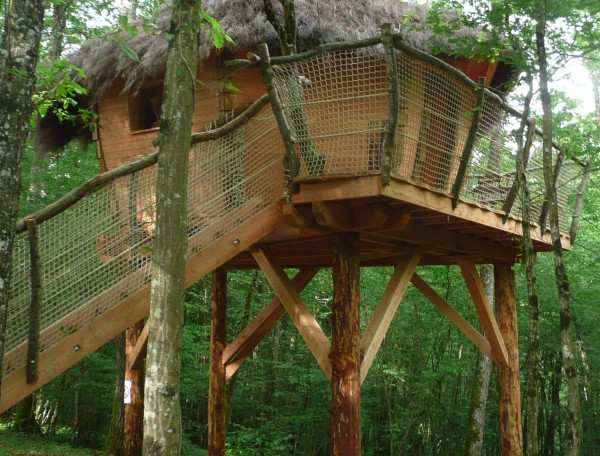 Cabane dans les arbres avec toit en chaume, perchée au milieu des arbres.
