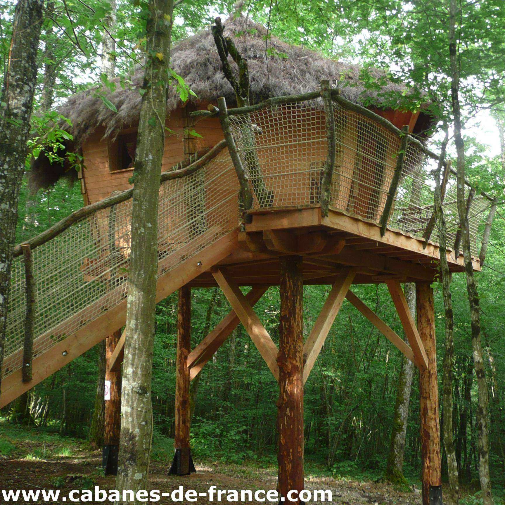 Cabane dans les arbres avec toit en chaume, perchée au milieu des arbres.