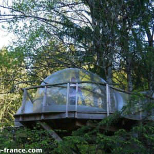 Cabane en bois perchée dans les arbres, avec une vue panoramique sur la forêt.