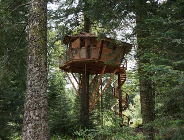 Cabane dans les arbres, perchée au milieu dune forêt verdoyante.