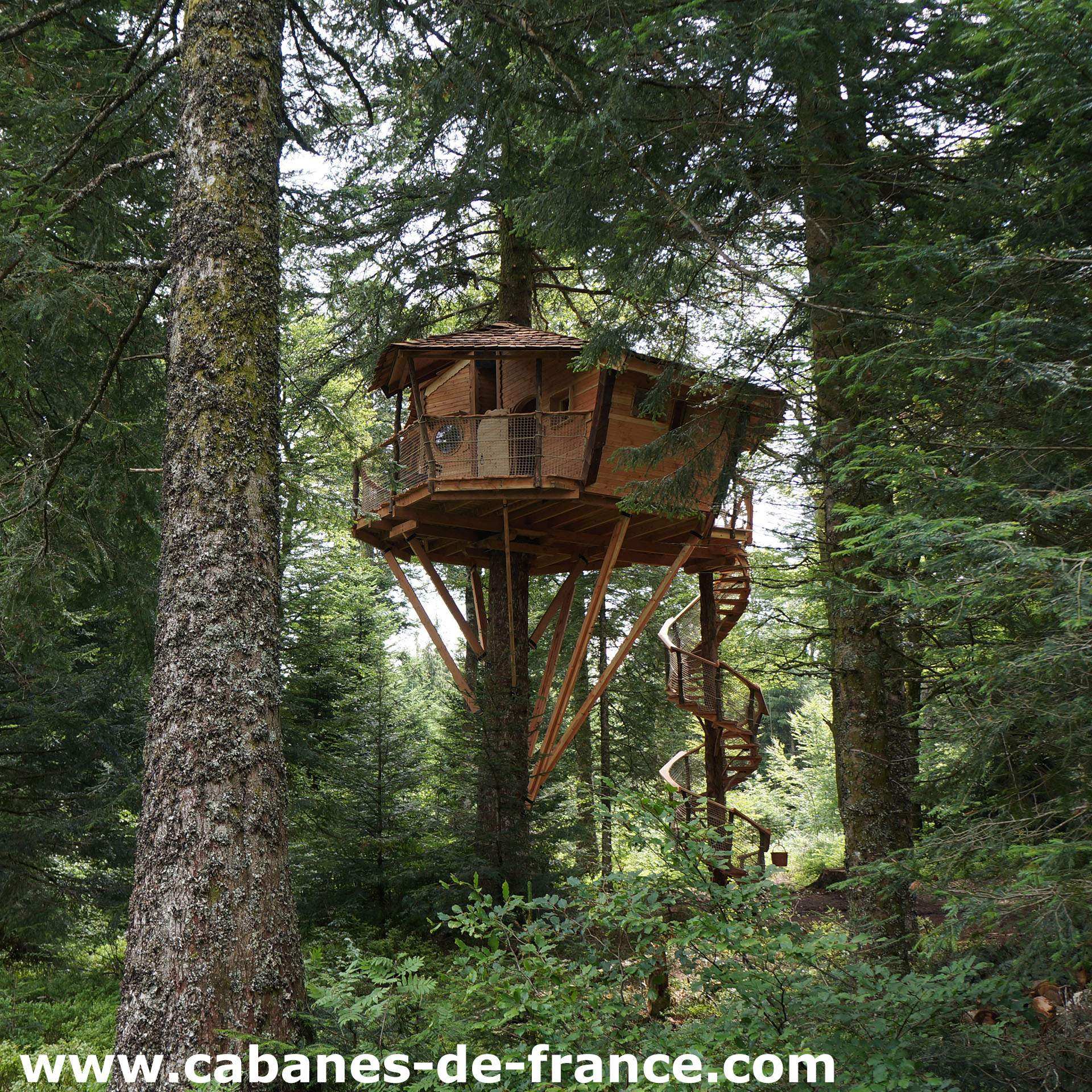 Cabane dans les arbres, perchée au milieu dune forêt verdoyante.