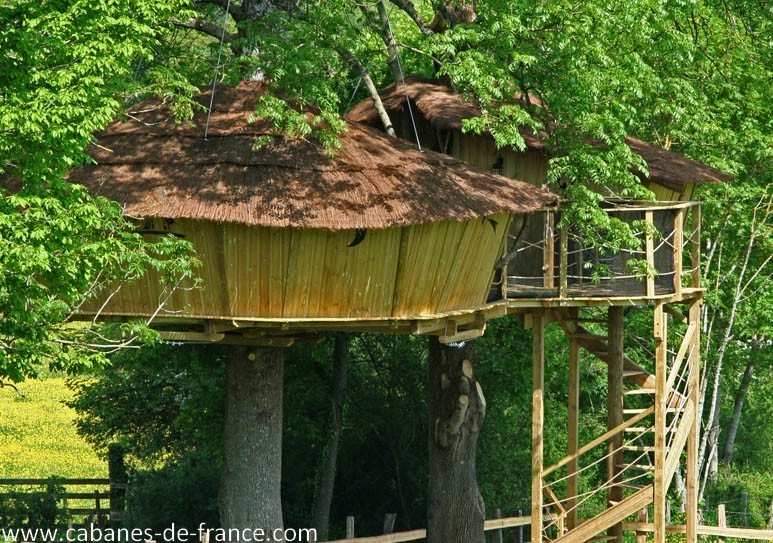286 Cabane perchée en bois dans les arbres, entourée de verdure luxuriante en Bourgogne.