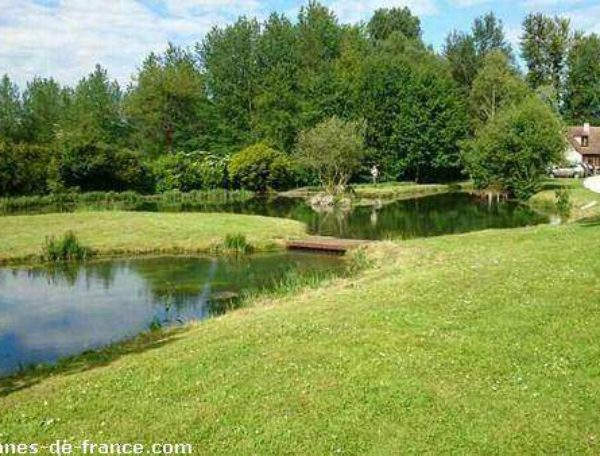 Charmante cabane au bord dun étang, entourée de verdure et de nature paisible.