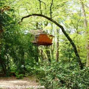 Cabane perchée dans les arbres, entourée dune verdure luxuriante.