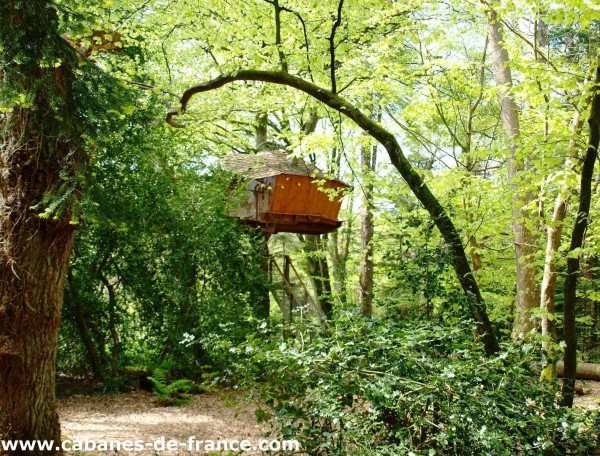 Cabane perchée dans les arbres, entourée dune verdure luxuriante.