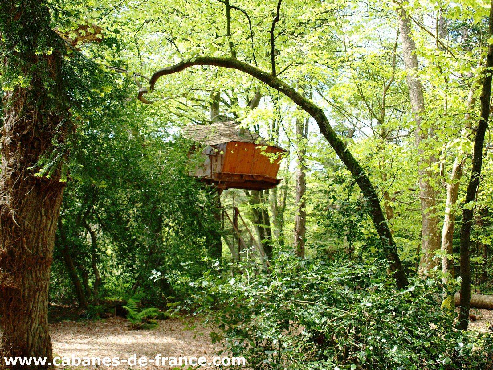 Cabane perchée dans les arbres, entourée dune verdure luxuriante.