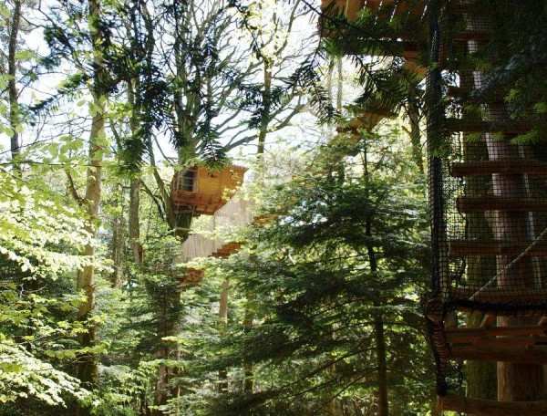 Cabane perchée dans les arbres en Bretagne, entourée de verdure luxuriante.
