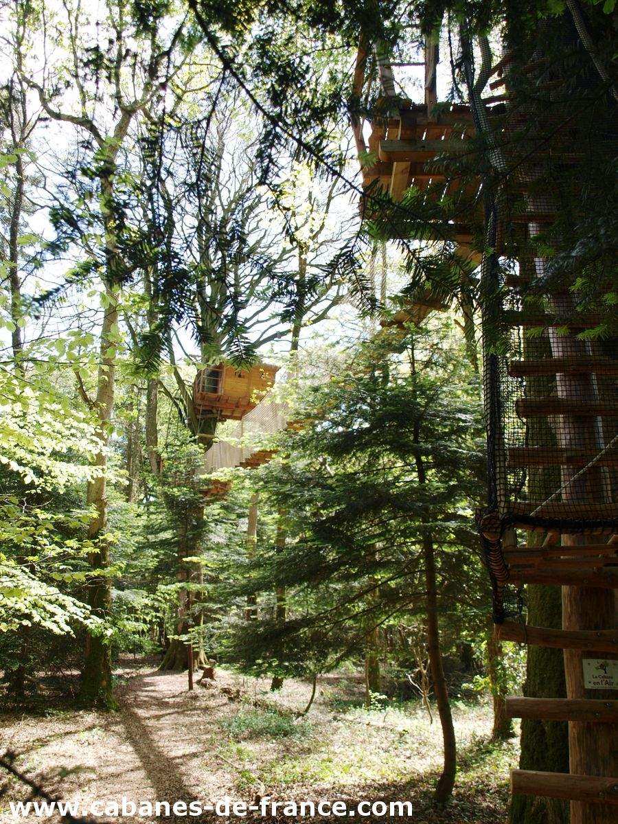 Cabane perchée dans les arbres en Bretagne, entourée de verdure luxuriante.