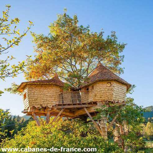 Cabane dans les arbres, perchée entre les branches, offrant une vue imprenable.
