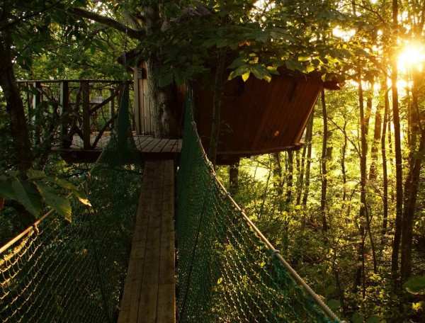 Cabane dans les arbres, perchée au-dessus du sol, entourée de verdure.