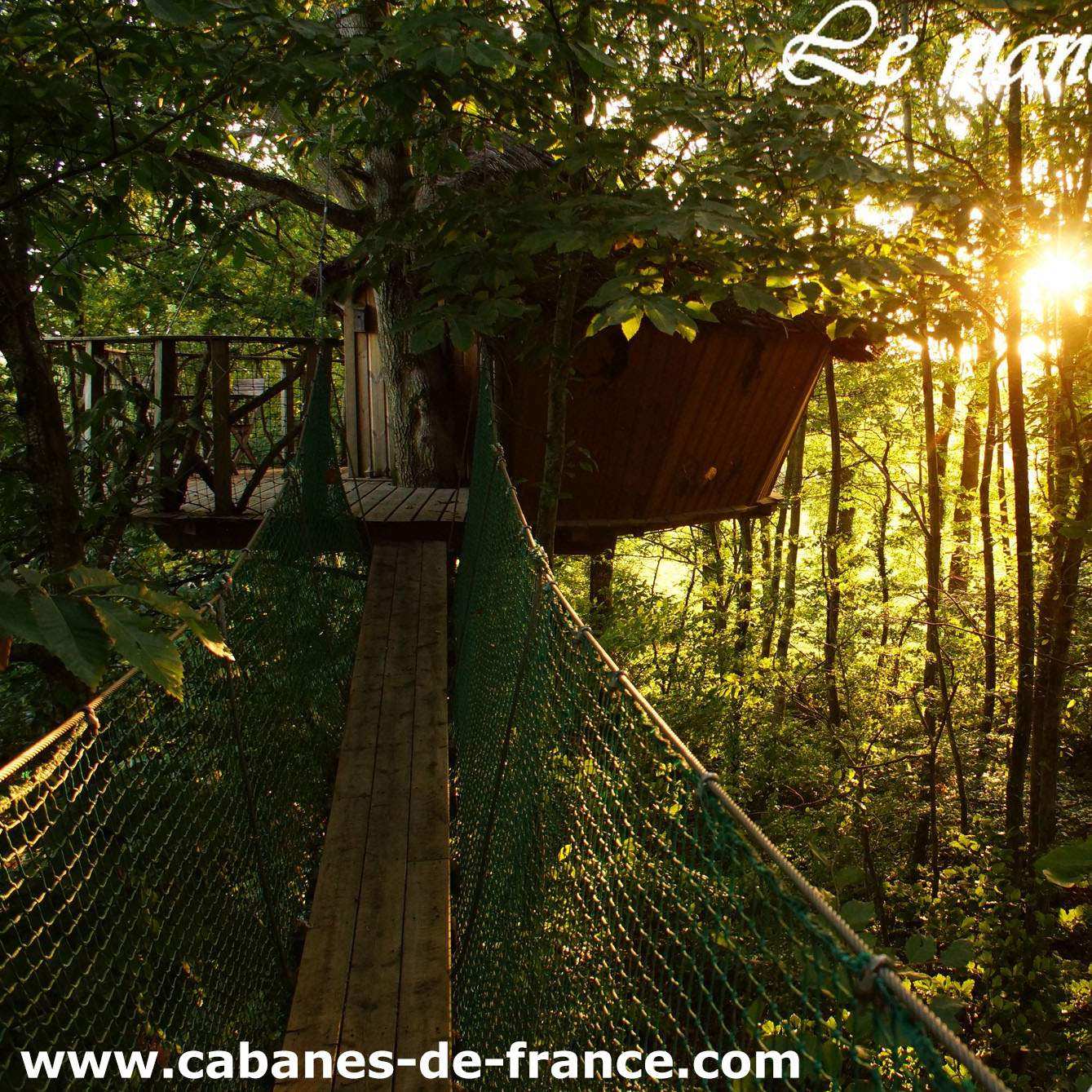 Cabane dans les arbres, perchée au-dessus du sol, entourée de verdure.