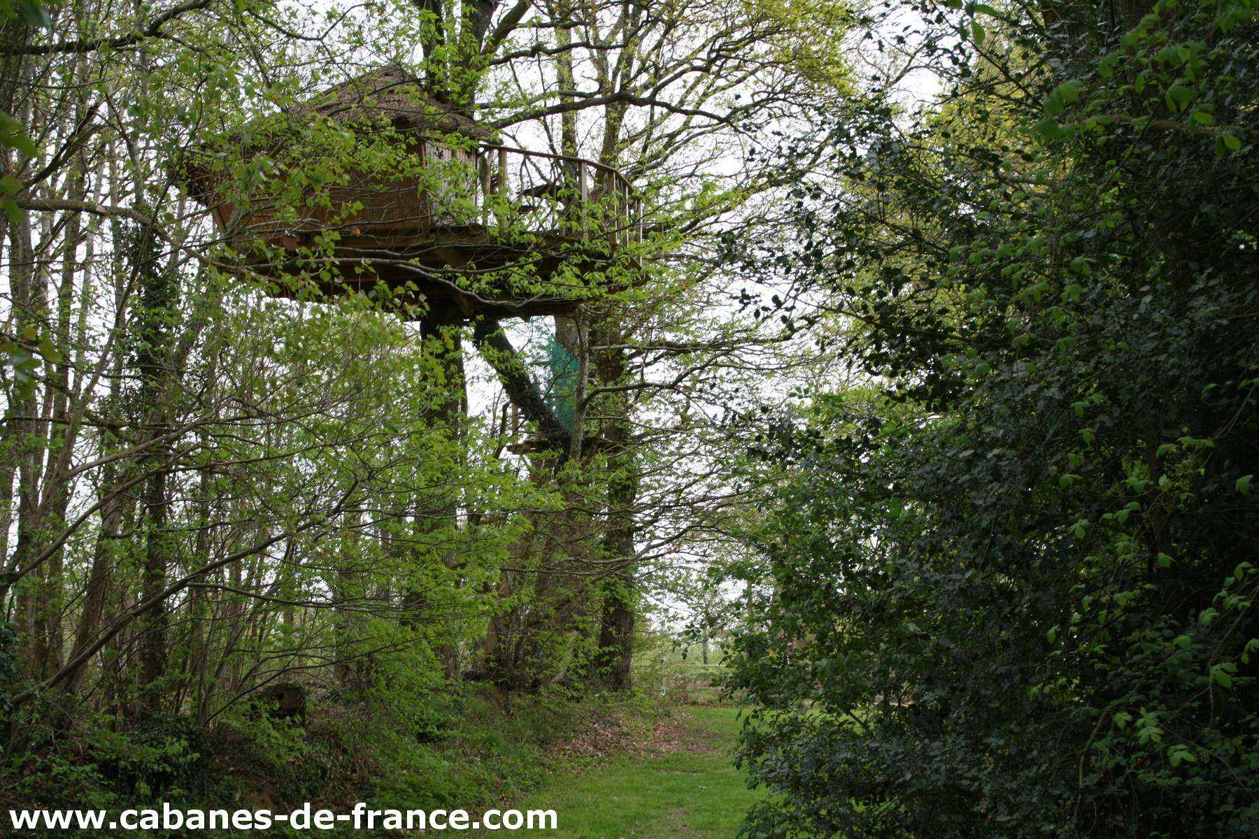 3069 Cabane perchée en Bretagne, entourée darbres verdoyants et dune nature luxuriante.