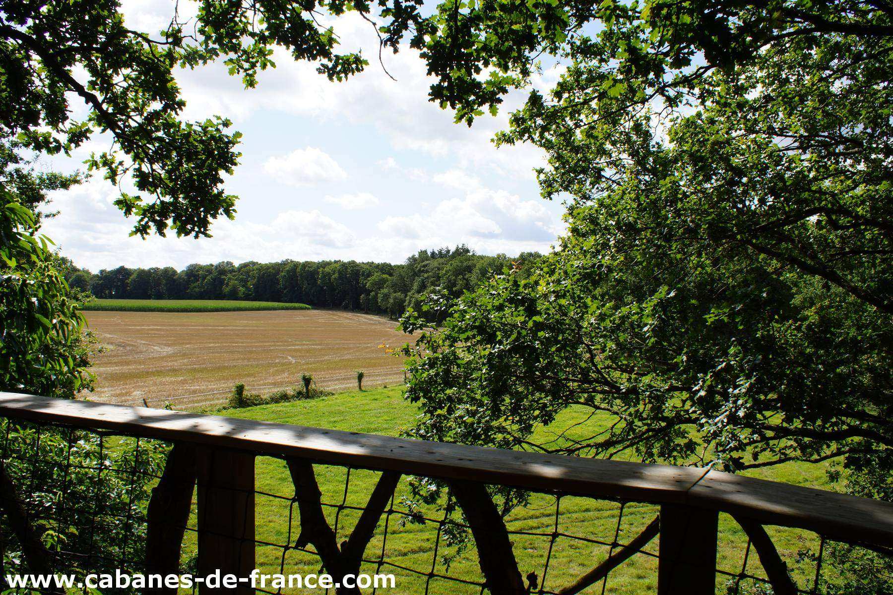 3080 Cabane perchée en Bretagne, offrant une vue panoramique sur la campagne verdoyante.