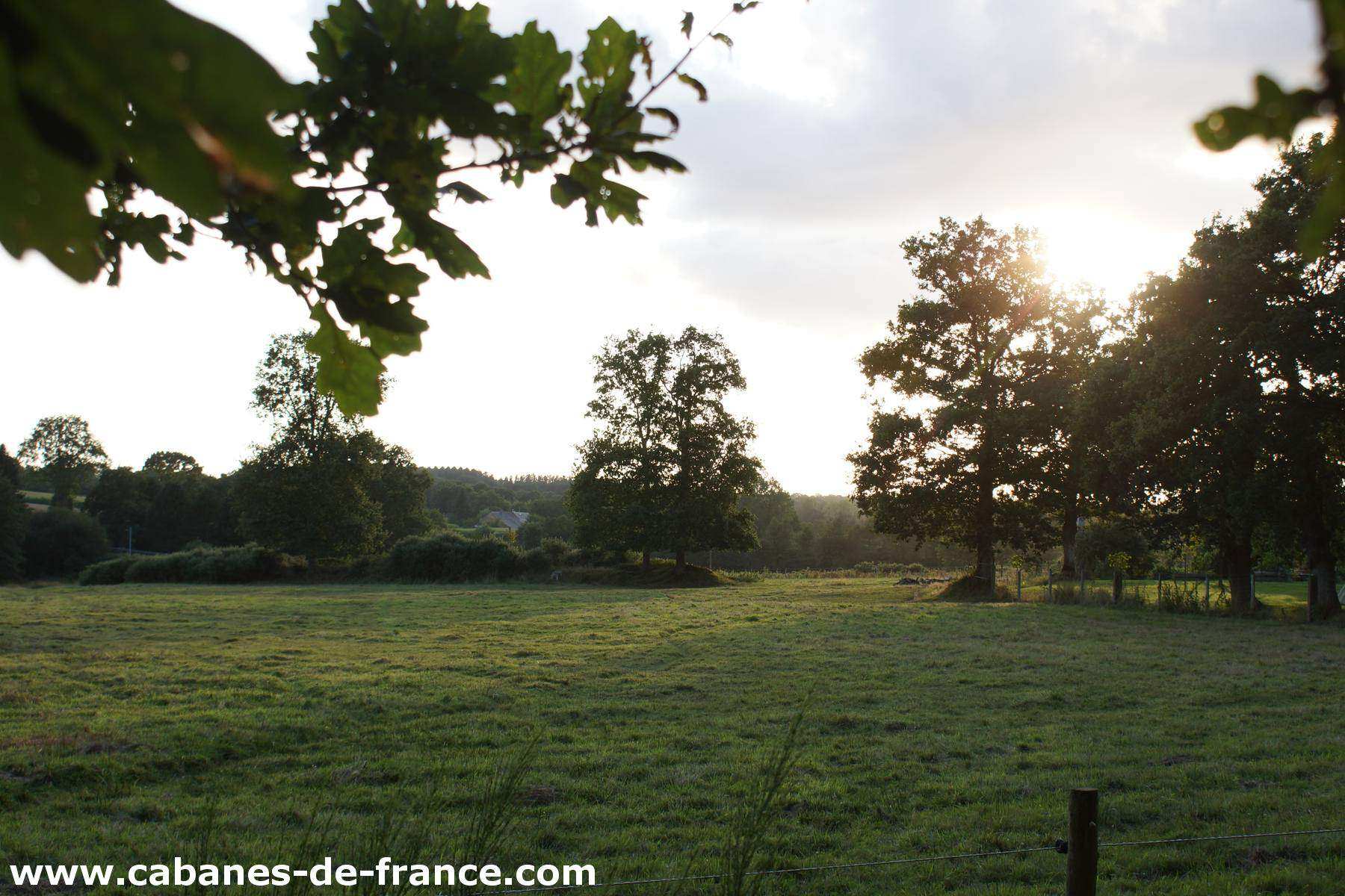 3086 Cabanes dans les arbres en Bretagne, entourées de verdure et baignant dans la lumière dorée.