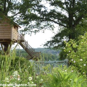 Cabane dans les arbres, perchée entre les branches, entourée de verdure luxuriante.