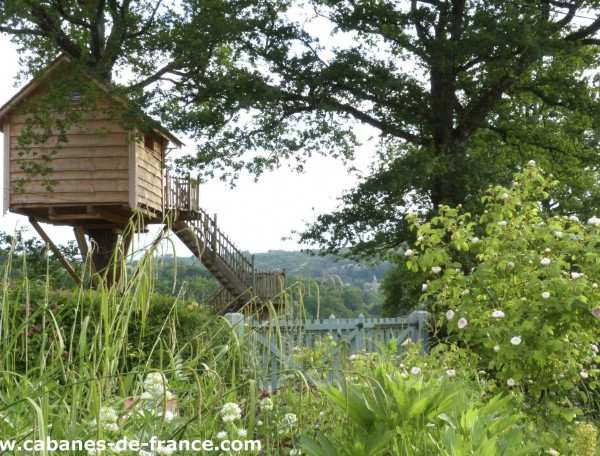 Cabane dans les arbres, perchée entre les branches, entourée de verdure luxuriante.